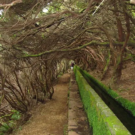 Beautiful View 2 - - Ilha Da Madeira * Arco da Calheta (Madeira)